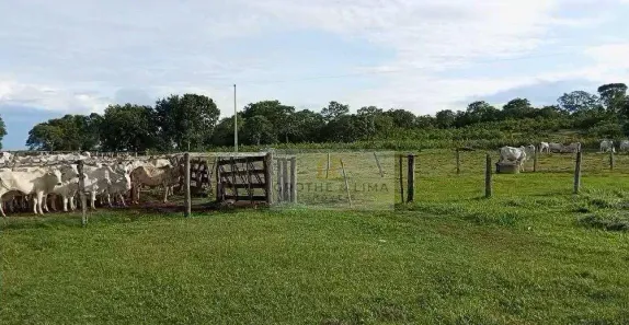 Fazenda/Sítio à venda, 900m² no , Paranã