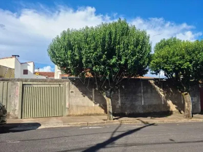 Imóvel Comercial com 3 Quartos à venda, 239m² no Jardim Roberto Selmi Dei, Araraquara