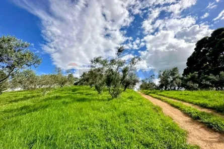 Lote/Terreno à venda, 46222m² no Senador Amaral, Senador Amaral