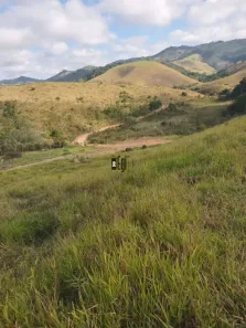 Fazenda/Sítio com 4 Quartos à venda, 440000m² no Zona Rural, Santos Dumont