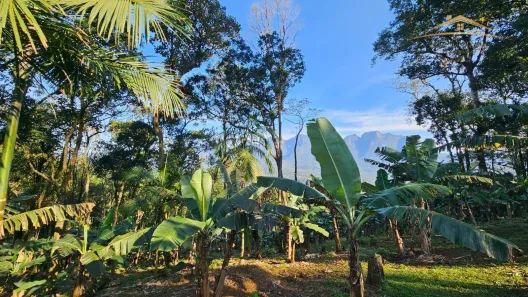 Fazenda/Sítio com 1 Quarto à venda, 120000m² no , Morretes