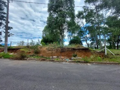 Lote/Terreno à venda, 921m² no Pioneiro, Caxias do Sul