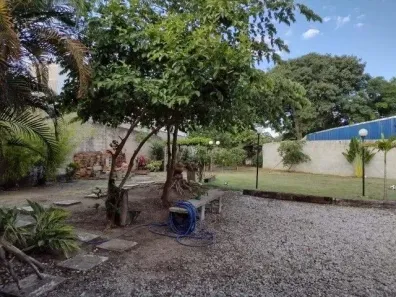 Fazenda/Sítio com 3 Quartos à venda, 291m² no Vila Areao, Taubaté