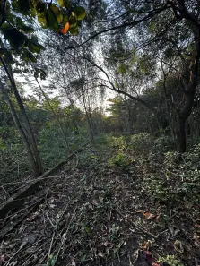Lote/Terreno à venda, 53000m² no Sepetiba, Rio de Janeiro