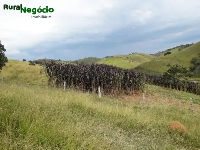 Fazenda/Sítio com 4 Quartos à venda, 435000m² no Centro, Cunha