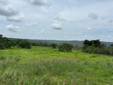 Fazenda/Sítio com 2 Quartos à venda, 200000m² no Engenho das Lages, Brasília