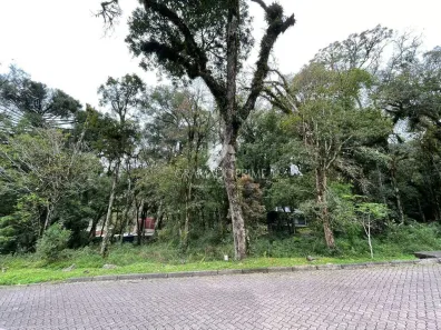 Lote/Terreno à venda, 612m² no , Canela