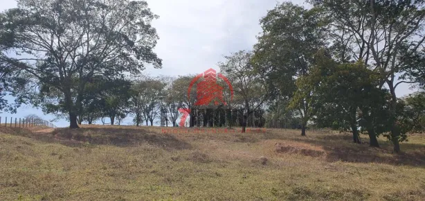 Fazenda/Sítio à venda, 1m² no , Bela Vista de Goiás