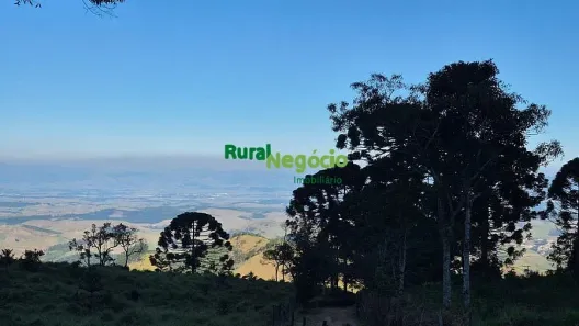 Lote/Terreno à venda, 40000m² no , Piquete