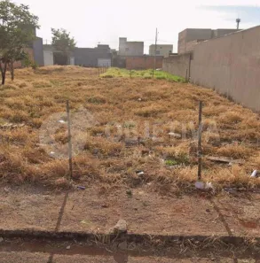 Lote/Terreno à venda, 250m² no Jardim Ipanema, Uberlândia