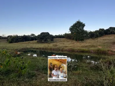 Fazenda/Sítio com 5 Quartos à venda, 48m² no , Piracanjuba