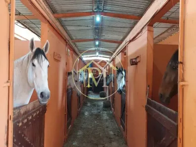 Fazenda/Sítio com 4 Quartos à venda, 192000m² no Iperó, Iperó