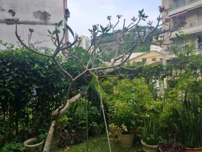 Apartamento com 3 Quartos à venda, 100m² no Laranjeiras, Rio de Janeiro