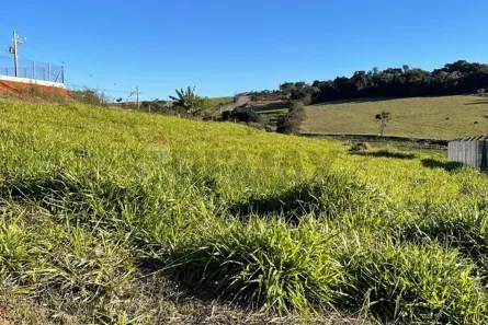 Lote/Terreno à venda, 1000m² no , Tuiuti