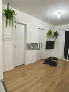 Apartamento com 2 Quartos à venda, 40m² no Cambuci, São Paulo