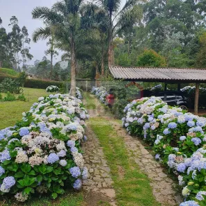 Fazenda/Sítio com 3 Quartos à venda, 17000m² no , Cunha