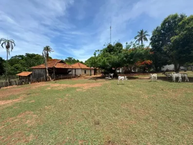 Fazenda/Sítio com 3 Quartos à venda, 16496m² no Setor Central, São Luís de Montes Belos