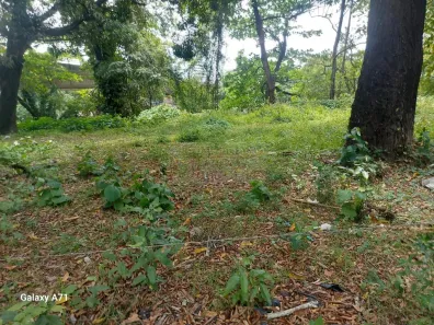 Lote/Terreno para alugar, 2600m² no Torre, Recife