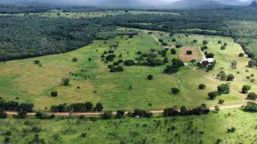 Fazenda/Sítio com 3 Quartos à venda, 220000m² no , Palmeirais