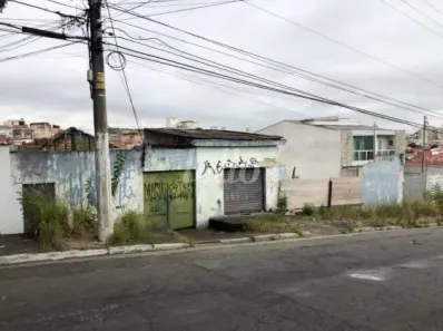 Lote/Terreno para alugar, 1950m² no Vila Marieta, São Paulo