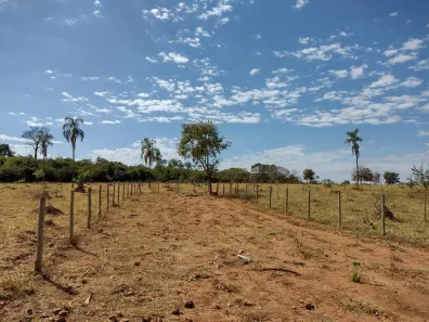 Fazenda/Sítio com 3 Quartos à venda, 135000m² no Setor Central, Fazenda Nova