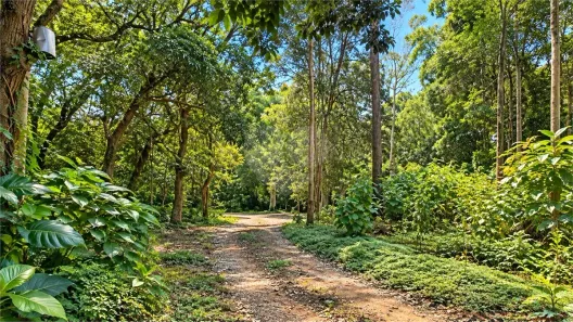 Lote/Terreno à venda, 27963m² no Jardim Santa Helena, São Paulo