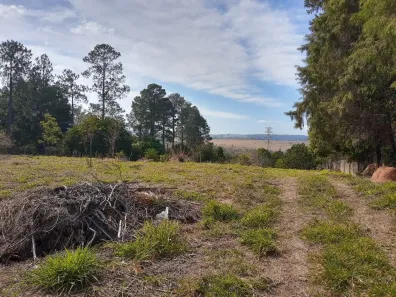Lote/Terreno à venda, 5437m² no Pinheirinho, Itu