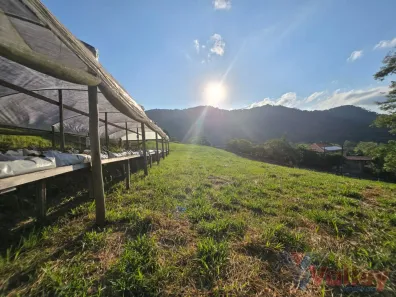 Fazenda/Sítio com 3 Quartos à venda, 8828m² no Estradinha, Indaial
