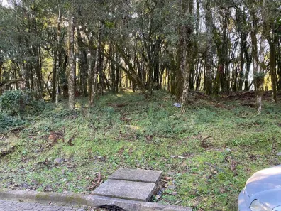 Lote/Terreno à venda, 714m² no Bosque Sinoserra, Canela