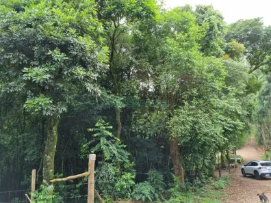 Lote/Terreno à venda, 5000m² no Nossa Senhora das Graças, Caxias do Sul