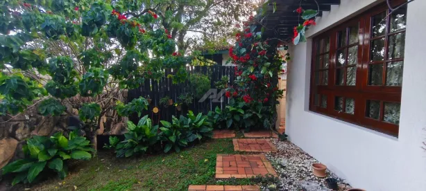 Casa com 3 Quartos à venda, 426m² no Jardim das Paineiras, Campinas