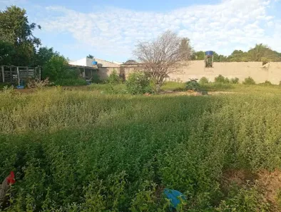 Lote/Terreno à venda, 1771m² no Jardim Nascente Boer, Americana