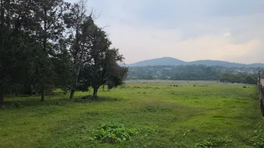 Lote/Terreno à venda, 157m² no Palmeiras de São Paulo, Suzano