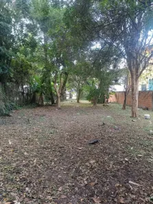 Lote/Terreno à venda, 1331m² no São João do Rio Vermelho, Florianópolis