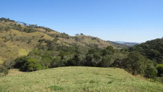 Lote/Terreno à venda, 36000m² no , São Bento do Sapucaí
