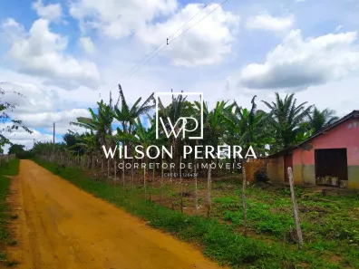 Fazenda/Sítio com 3 Quartos à venda, 17000m² no , Bananeiras