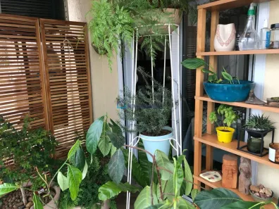 Apartamento com 3 Quartos à venda, 800m² no Lapa, São Paulo