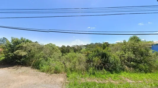 Lote/Terreno à venda, 6900m² no Forqueta, Caxias do Sul