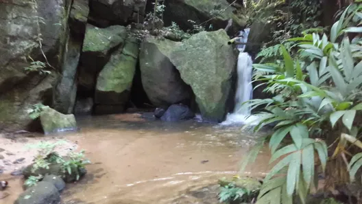 Fazenda/Sítio com 3 Quartos à venda, 170000m² no Papucaia, Cachoeiras de Macacu