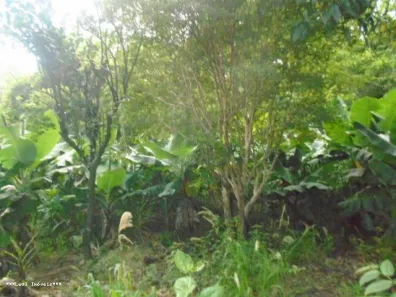 Lote/Terreno à venda, 3000m² no Vila Luso, Presidente Prudente