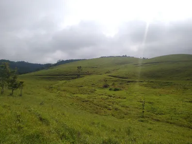 Fazenda/Sítio à venda, 53m² no Centro, Registro
