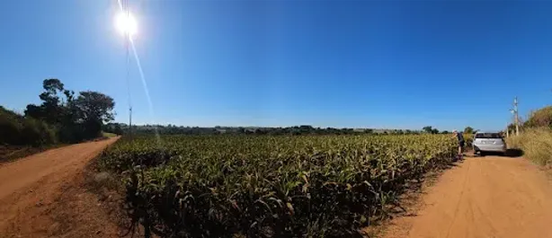 Fazenda/Sítio à venda, 77682m² no Conchal Velho, Conchal