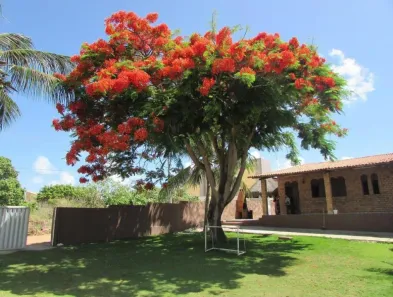Casa com 3 Quartos à venda, 450m² no Praia de Carapibus, Conde