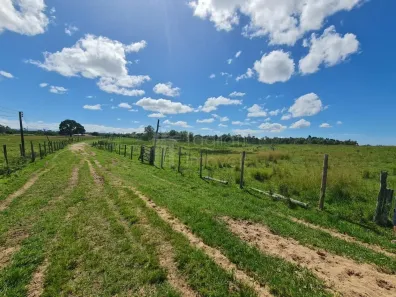 Fazenda/Sítio à venda, 2496m² no Centro (São Vicente), Araruama