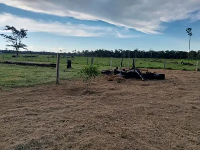 Fazenda/Sítio com 2 Quartos à venda, 400000m² no Caiari, Porto Velho