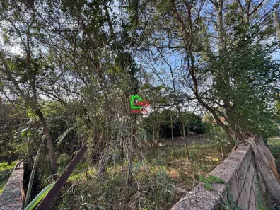 Lote/Terreno à venda, 4580m² no Pinheirinho, Vinhedo