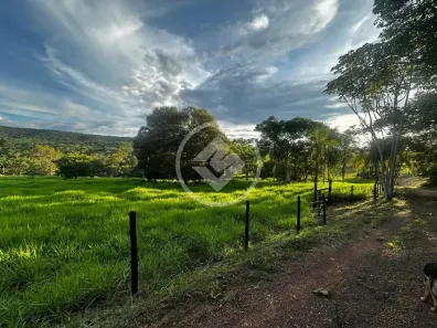 Fazenda/Sítio à venda, 40000m² no Área Rural de Hidrolândia, Hidrolândia