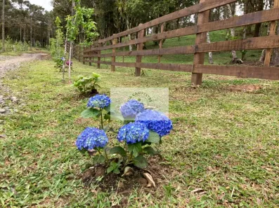 Fazenda/Sítio com 1 Quarto à venda, 99363m² no , Campo Alegre