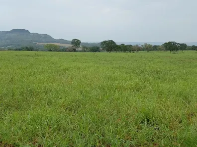 Fazenda/Sítio à venda, 3000000m² no Centro, Rio Verde de Mato Grosso