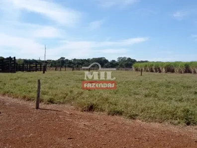 Fazenda/Sítio à venda, 1m² no , Acreúna
